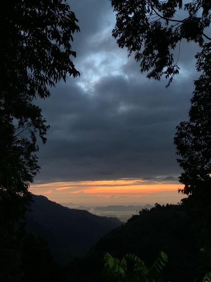 Saveen View Ella Bagian luar foto