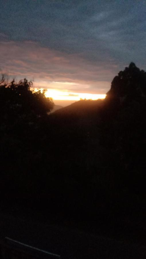 Saveen View Ella Bagian luar foto
