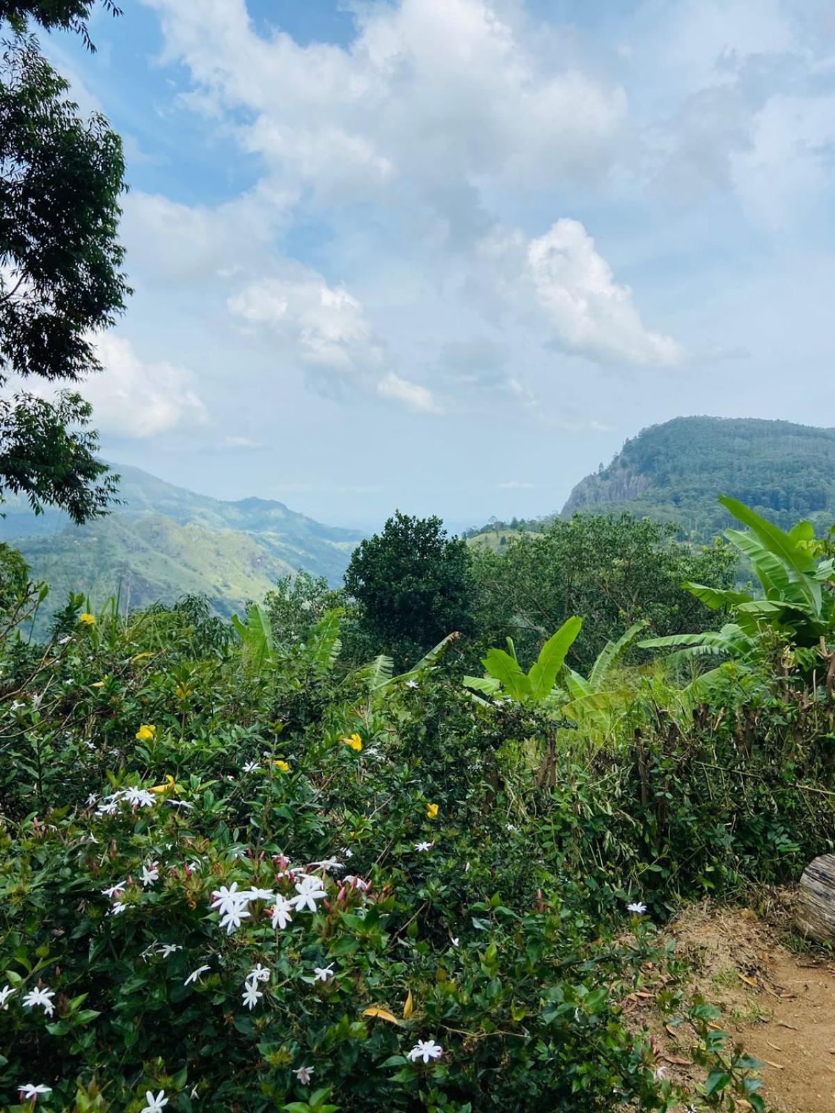Saveen View Ella Bagian luar foto