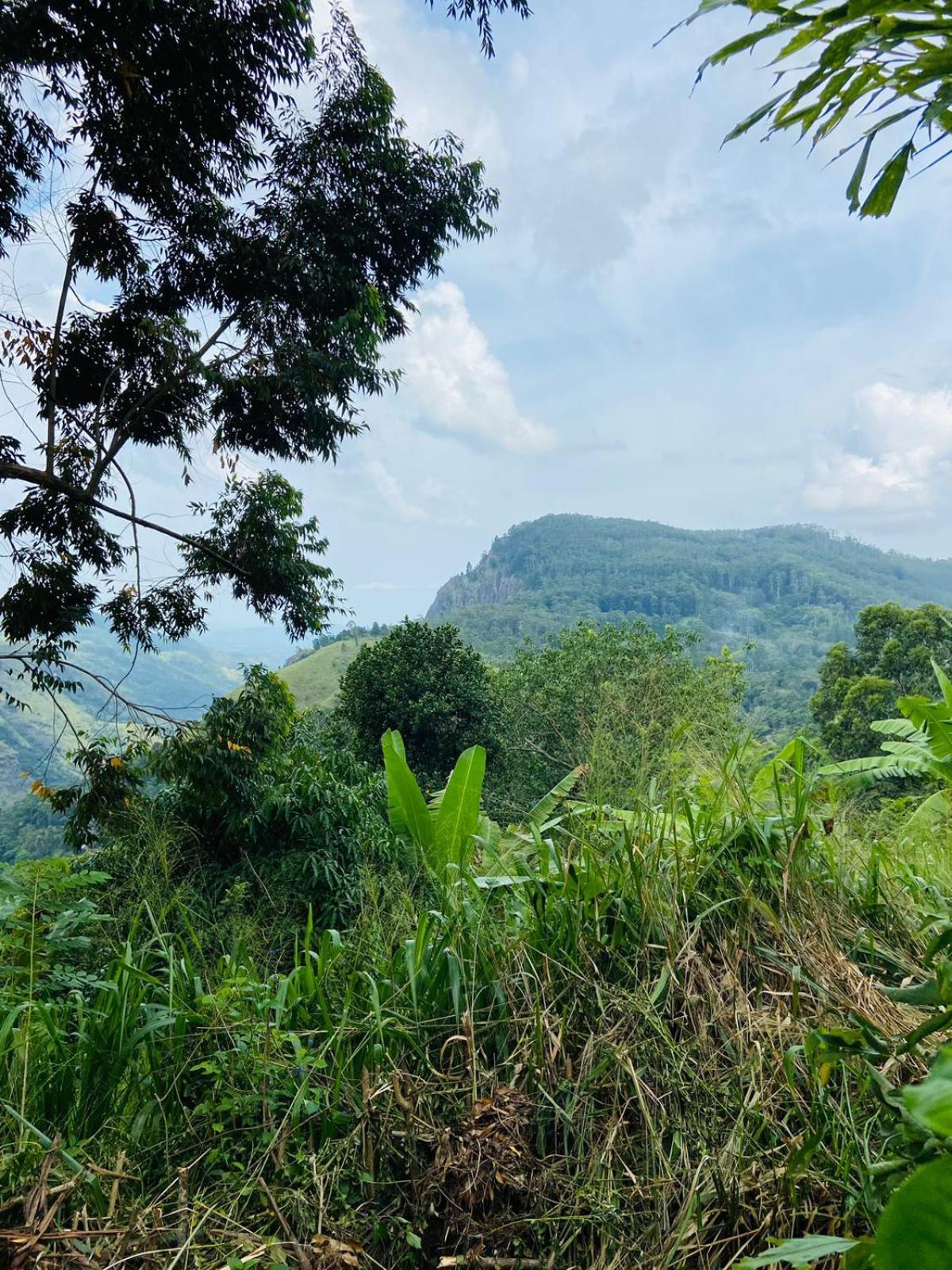 Saveen View Ella Bagian luar foto
