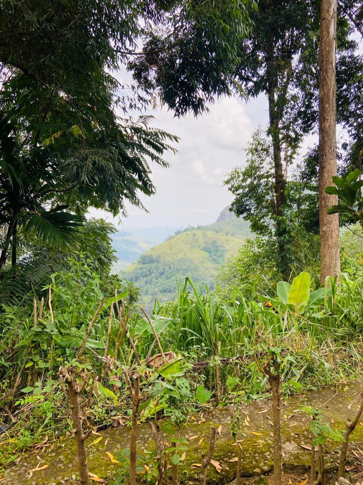 Saveen View Ella Bagian luar foto