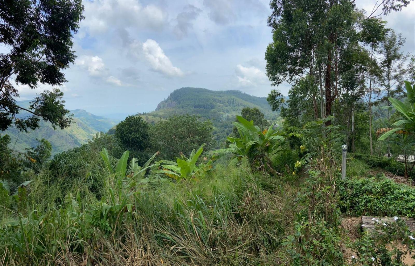 Saveen View Ella Bagian luar foto