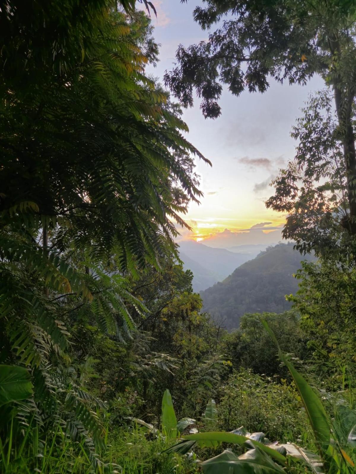 Saveen View Ella Bagian luar foto