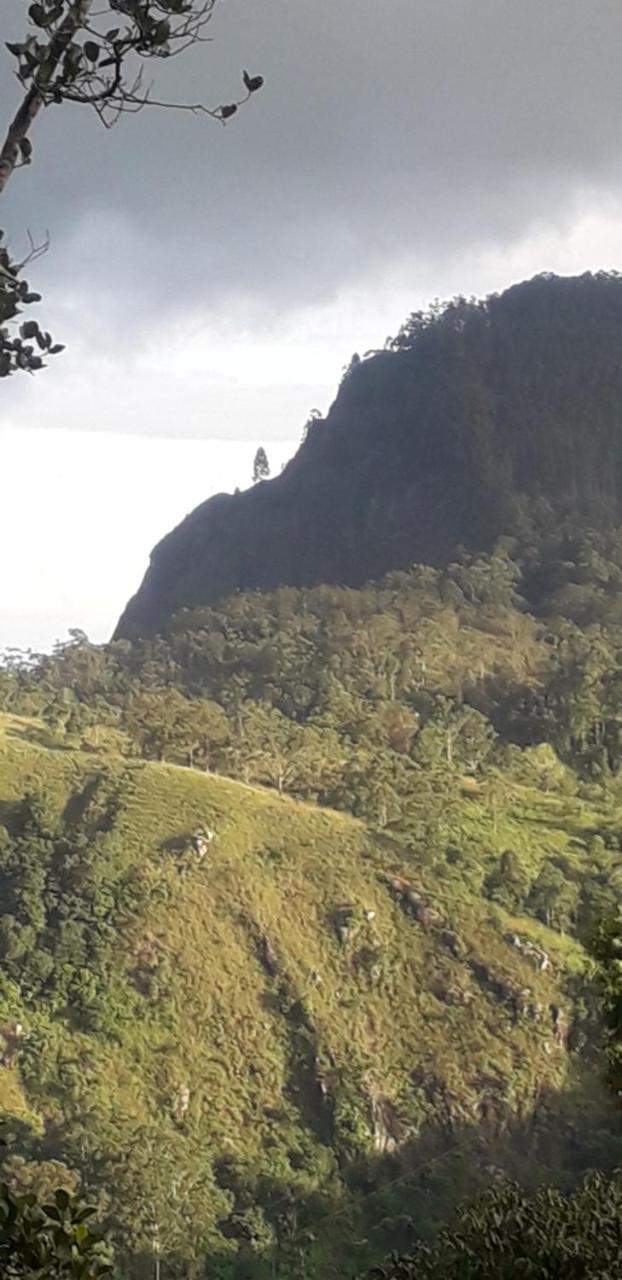 Saveen View Ella Bagian luar foto